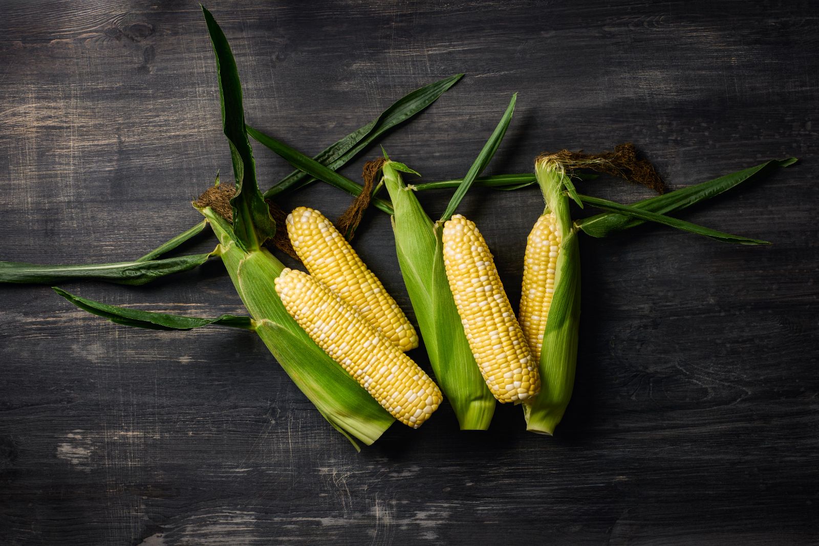 AMERICAN DREAM bicolor sweet corn