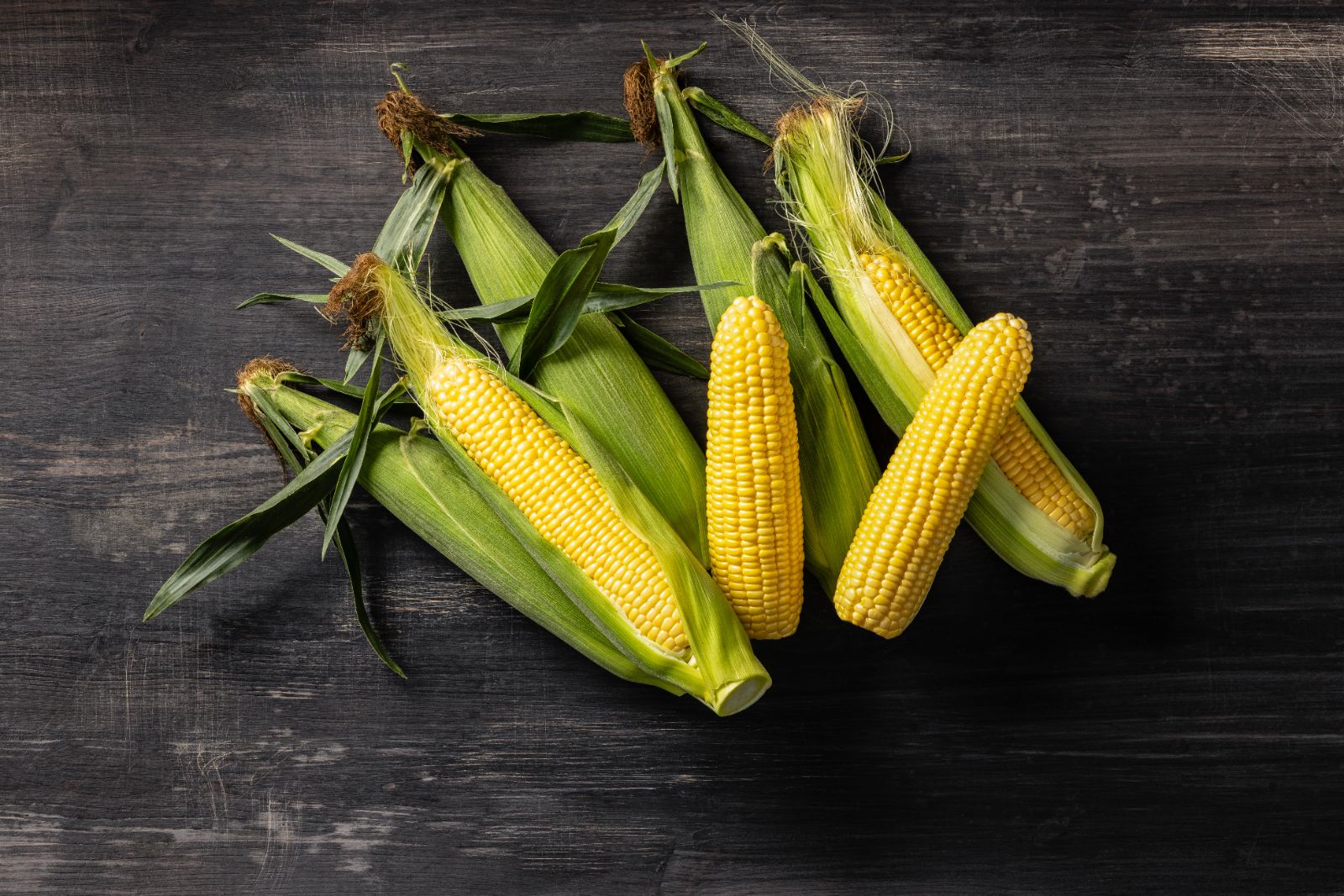 ICON XR sweet corn