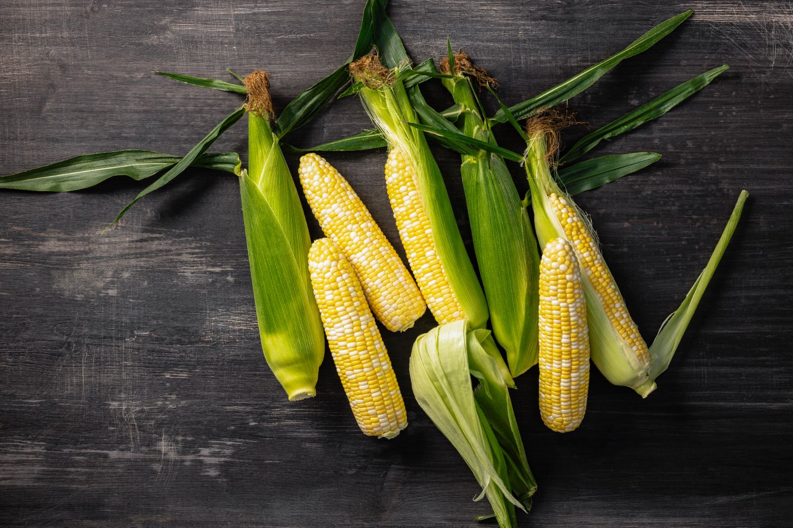 SIGNATURE XR sweet corn